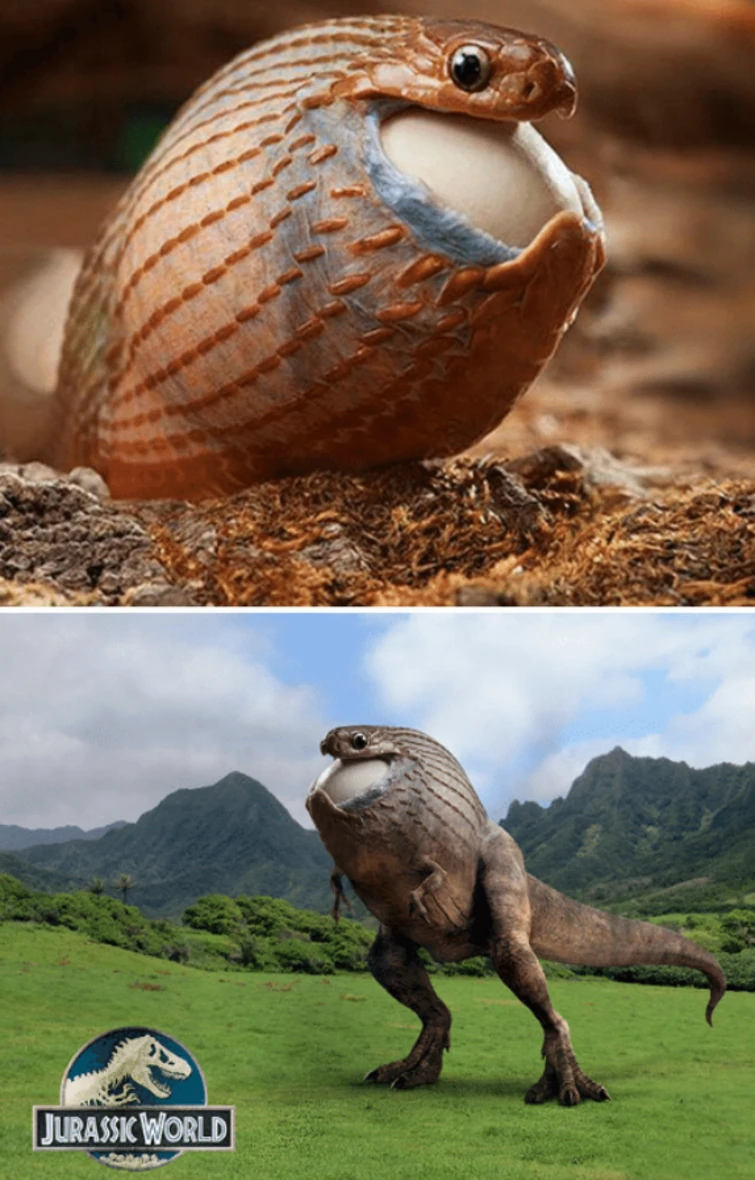 This is my new favorite hybrid Fandom