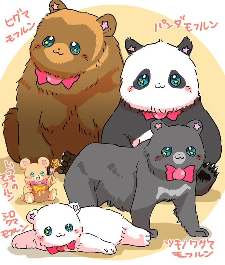 Fandom Image