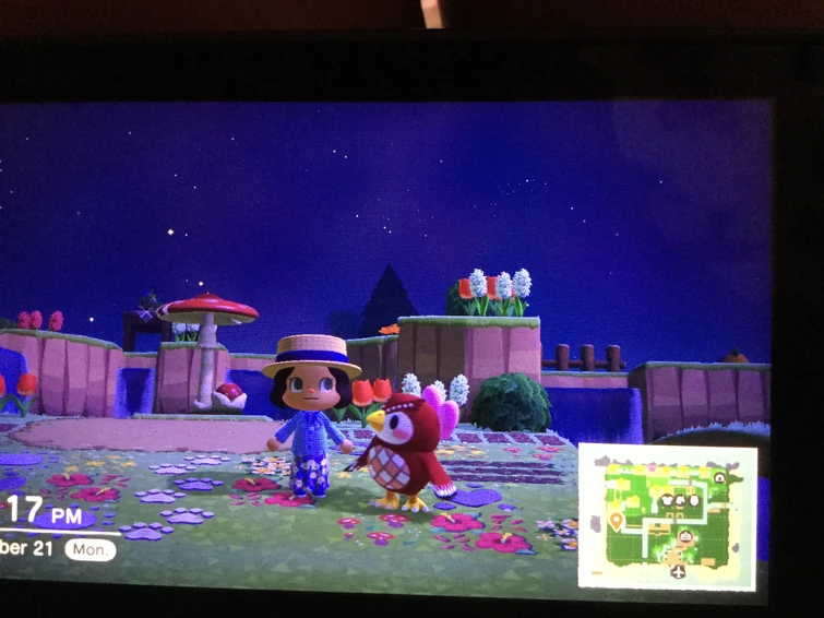 Discuss Everything About Animal Crossing Wiki Fandom