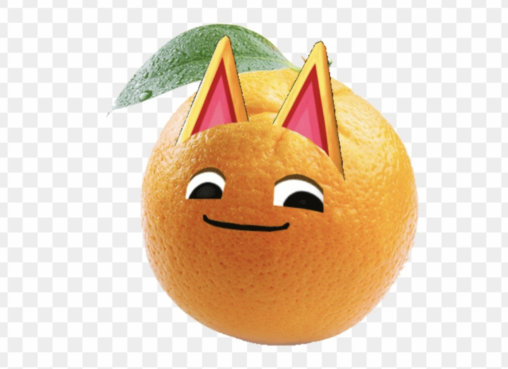 I searched up tangy animal crossing and this came up ? Fandom