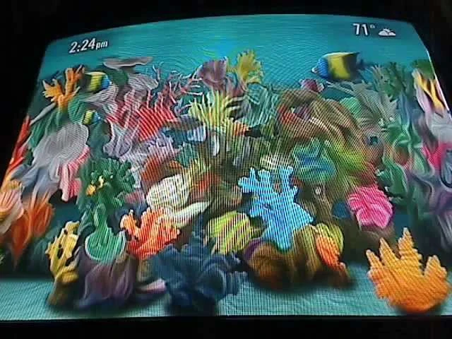 Discovered Something Fandom