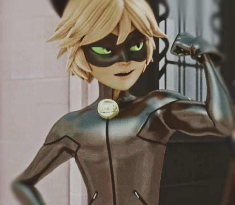 Icons Chat Noir  Miraculous ladybug fan art, Miraculous