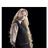 Lotte-Luna302s Profilbild