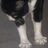 Cølørz's avatar