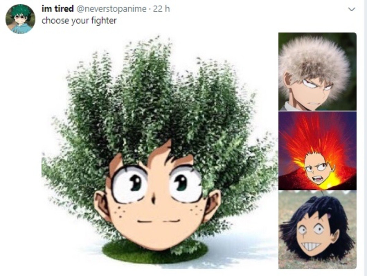 Image result for cursed mineta images