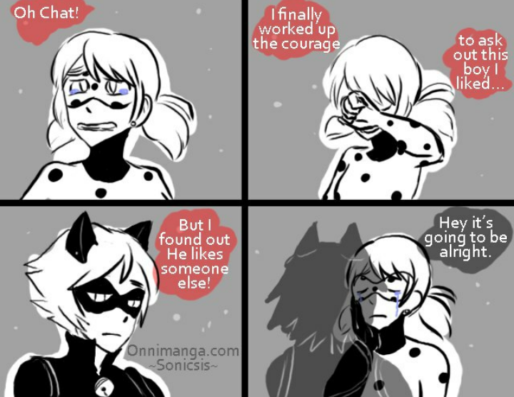 Featured image of post Ladynoir Fanart Comics