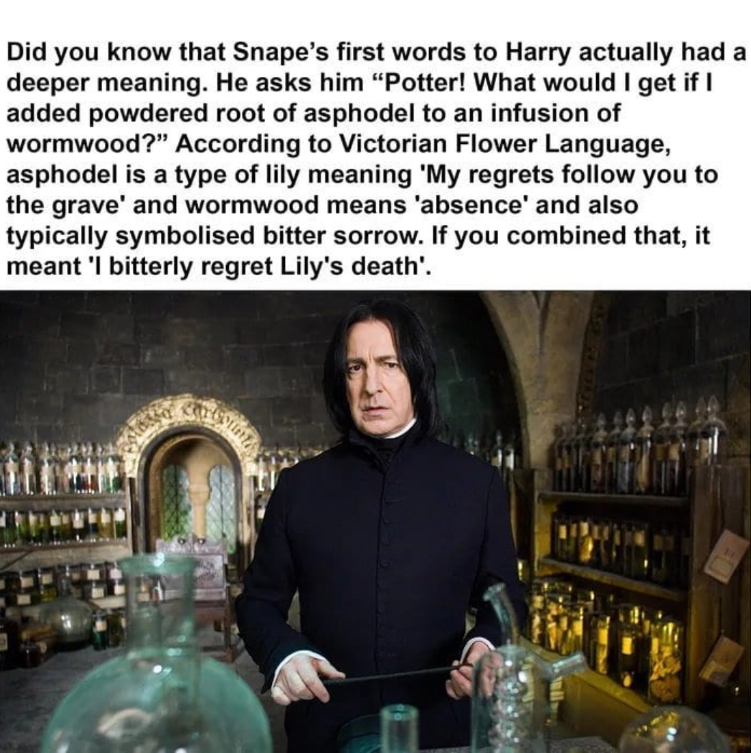 40 severus only the biggest harry potter fans know