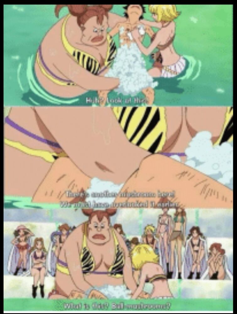 Fandom Image