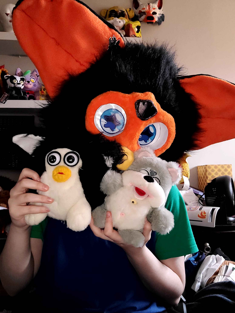 Fandom Image