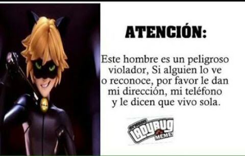 Chat Noir Adrien Lover S Memes Fandom