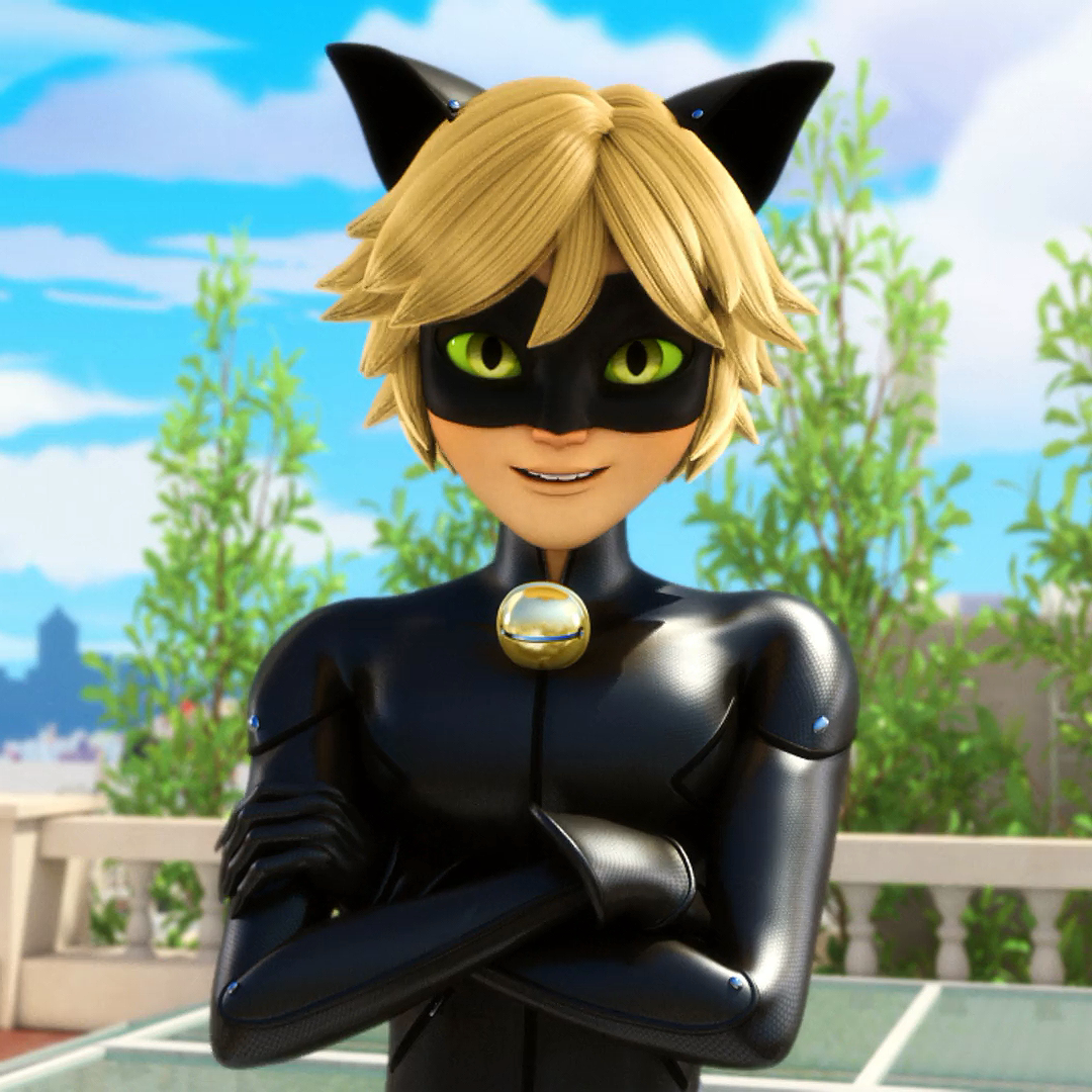 Chat noir from miraculous lady bug - OpenDream