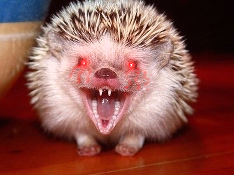 hyper realistic sonic the hedgehog