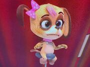 Zoe.jpg