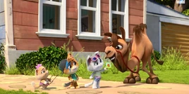 1581429418772 44gattiS2E1