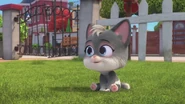Baby Pie1.png (1.08 MB)