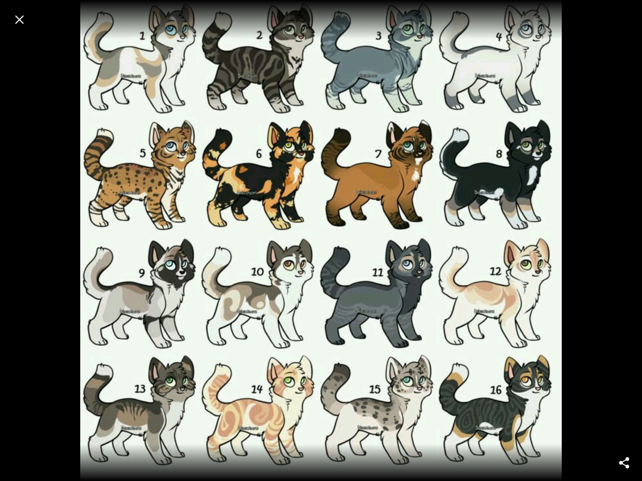 Персонажи коты