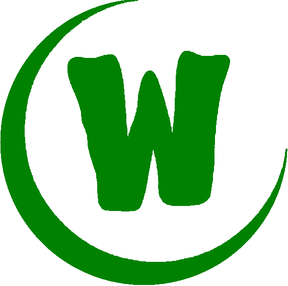 VfL Wolfsburg - Wikipedia