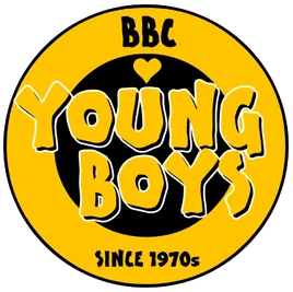 Young Boys logo