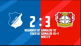 Hoffenheim vs Bayer