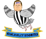 Newcashley.png (25 KB)