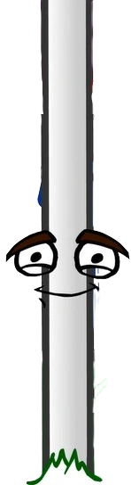 Arlington jr league christmas