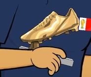 The "Golden Boot" to the best World Cup scorer