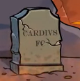 Cardivs.png