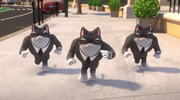 Коты в черном.png