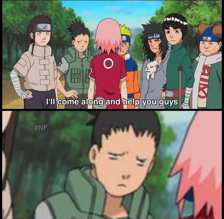 Sakura Memes Fandom