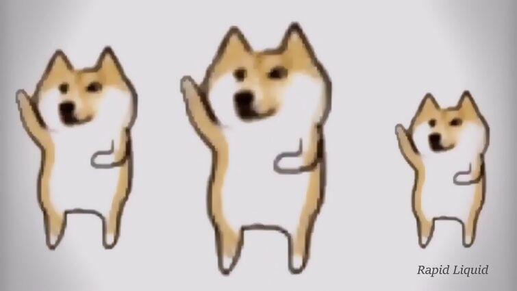 Shiba Inu  The Fandom Post