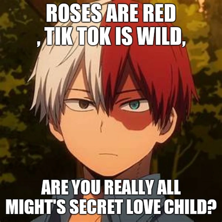 TODOROKI MEMES Fandom