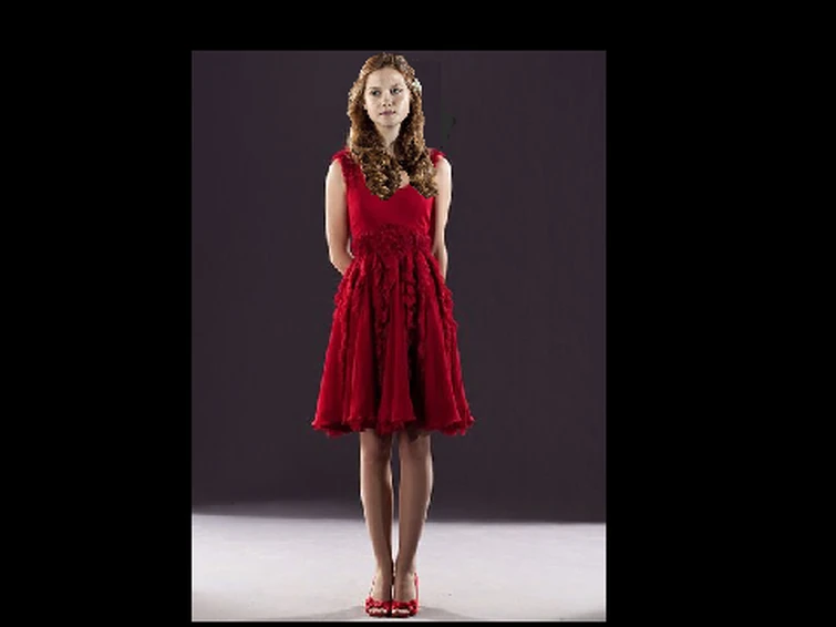 red roses dress RED ROSE Illusion Neckline Floral Organza A-Line Bridal Gown – Alesia C