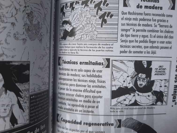 Naruto: Como Hashirama Senju aprendeu o Modo Sábio?