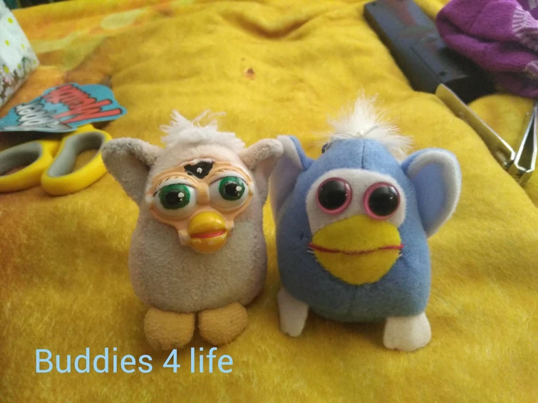 Fandom Image