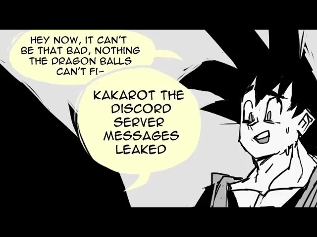 The Discord Leaks