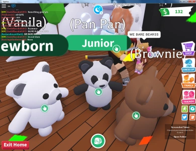 adopt a sheep near me