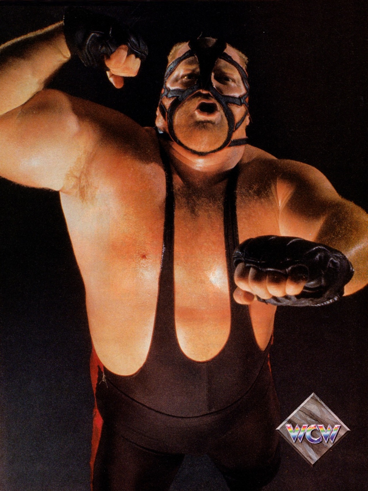 RIP Big Van Vader Fandom.