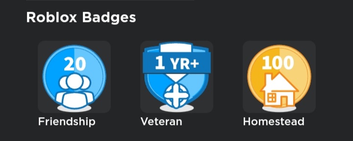 What roblox badges do you have? | Fandom