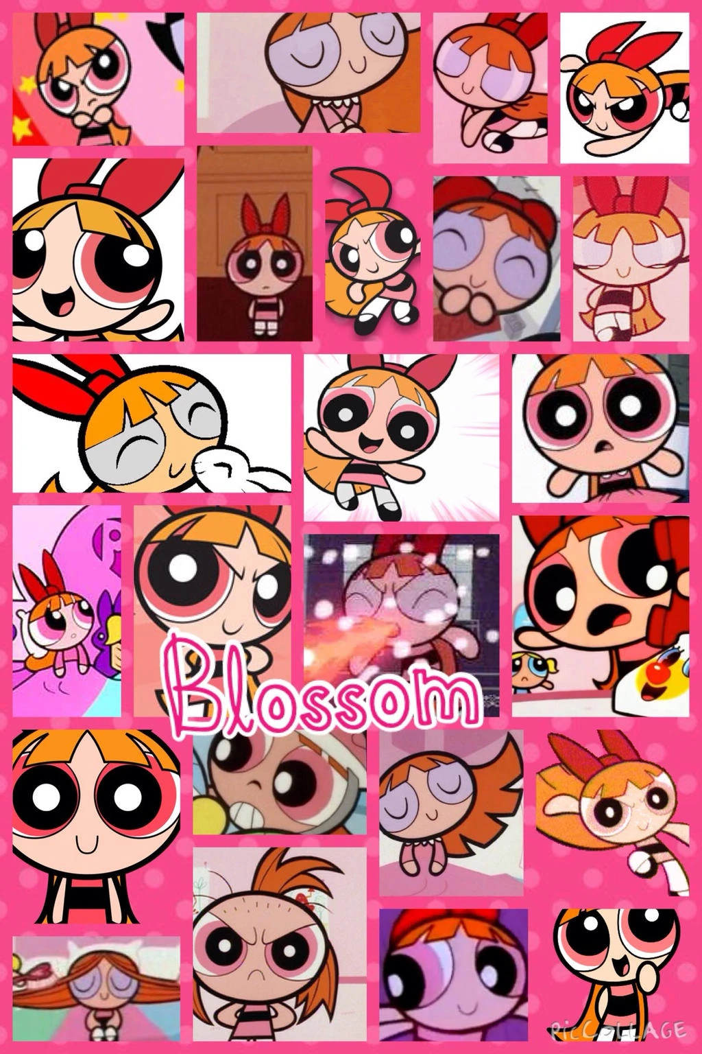 About Blossom (1998) Fandom
