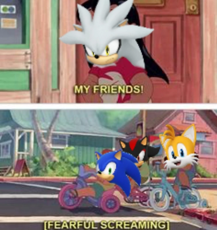 Some random Sonic pics/memes I found on Pinterest to lighten your mood ...