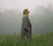 LifeWasAWillow.13's avatar