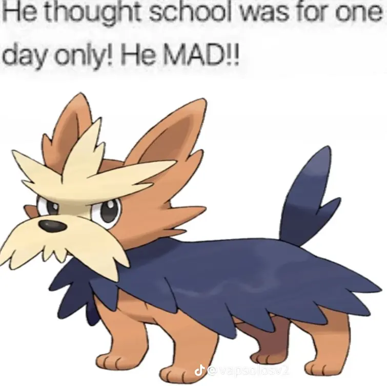 blud-does-not-pay-the-bill-fandom