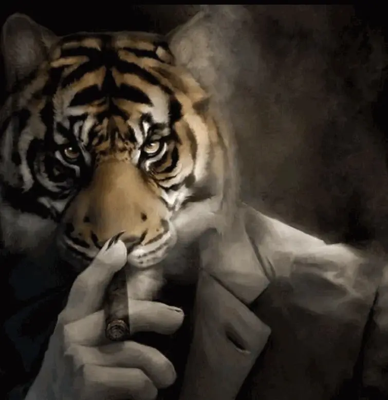 tiger smoking cigarette praise smoking tiger