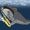 Marshenwhale
