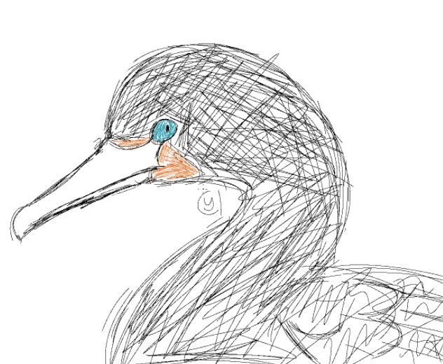 cormorant art Fandom