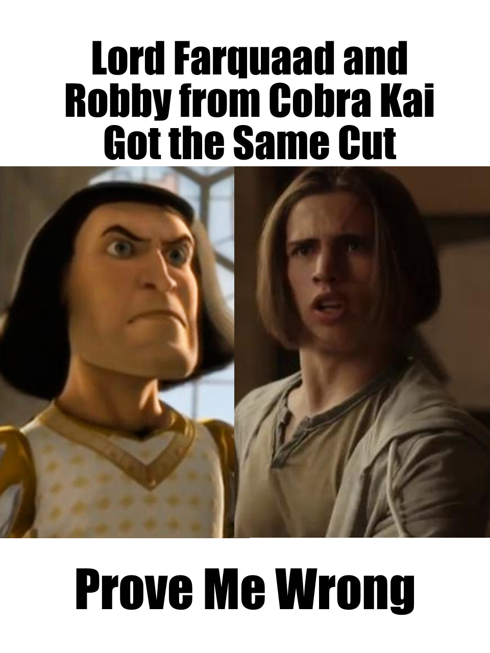 Cobra Kai: 10 Things Redditors Want To See In Season 6