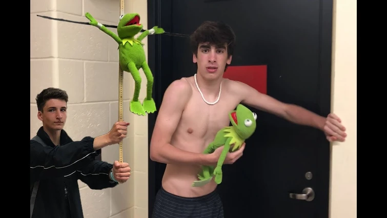 Bring your Kermit to work day