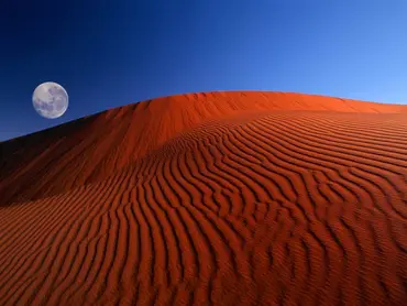 Which Windows XP wallpaper do you like the most? | Fandom