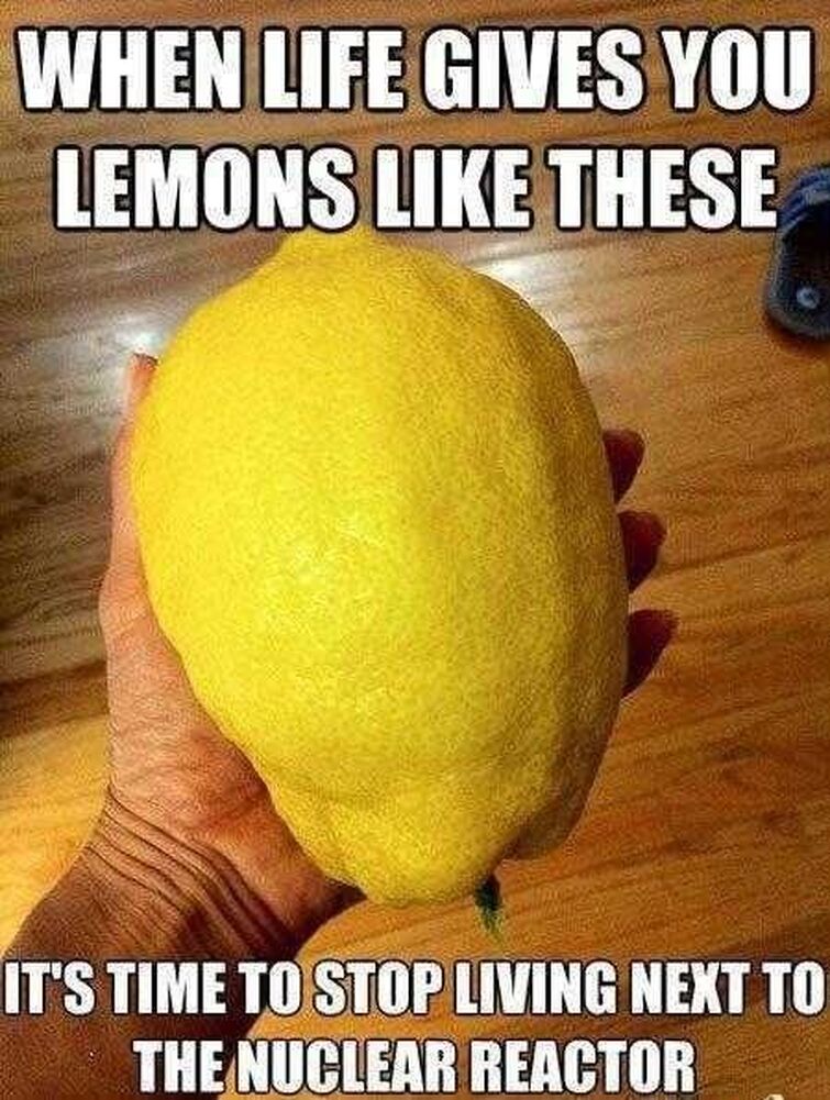 When Life Gives You Lemons Fandom