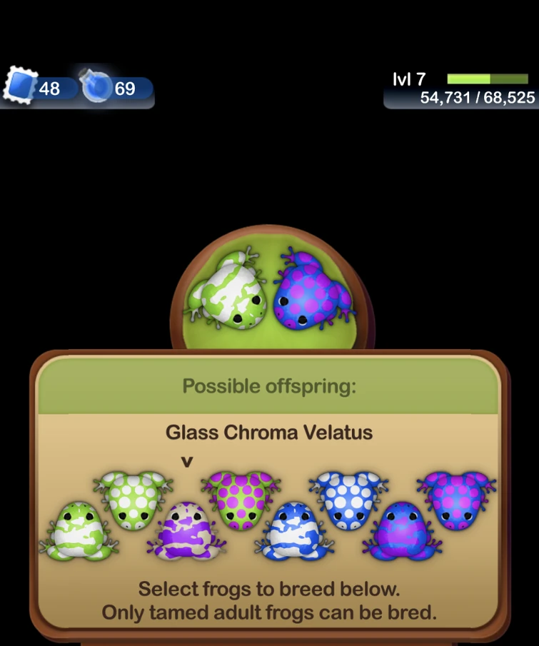 Discuss Everything About Pocket Frogs Wiki Fandom